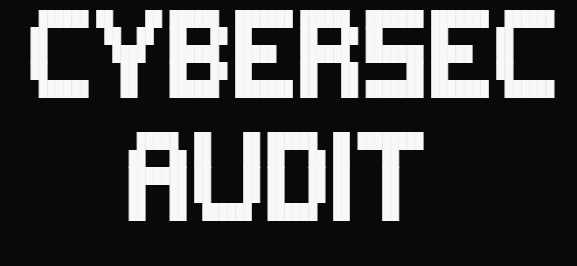 Cybersecurity Audits
